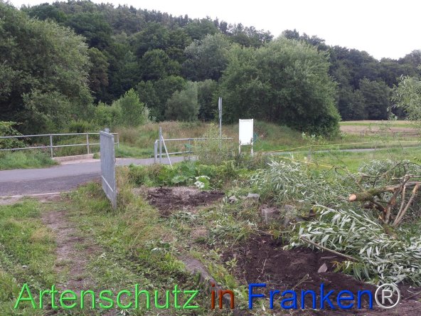 Bild zum Eintrag (76990-160)