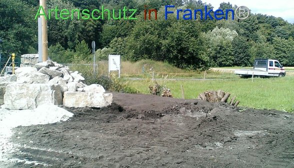 Bild zum Eintrag (77013-160)