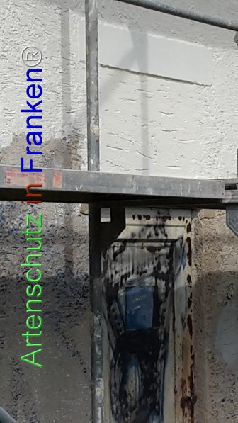 Bild zum Eintrag (77096-160)