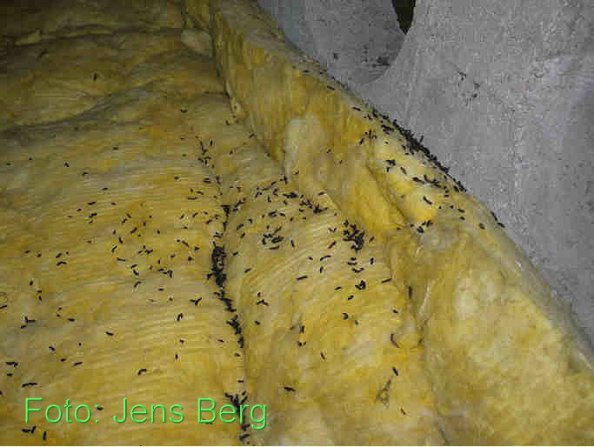 Copyright AiF Jens Berg Bild zum Eintrag (77219-160)