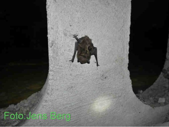 Copyright AiF Jens Berg Bild zum Eintrag (77221-160)