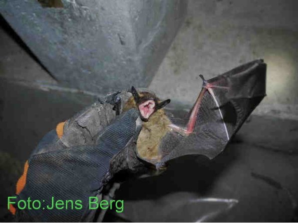 Copyright AiF Jens Berg Bild zum Eintrag (77222-160)