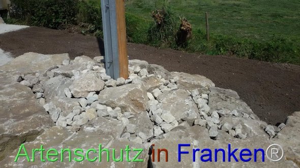 Bild zum Eintrag (77272-160)