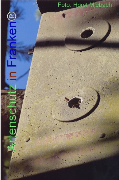 Copyright AiF Horst Miebach Bild zum Eintrag (77378-160)