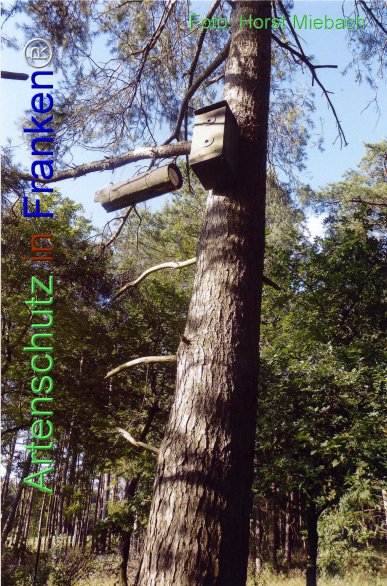 Copyright AiF Horst Miebach Bild zum Eintrag (77379-160)
