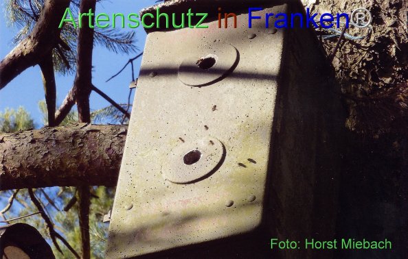 Copyright AiF Horst Miebach Bild zum Eintrag (77380-160)
