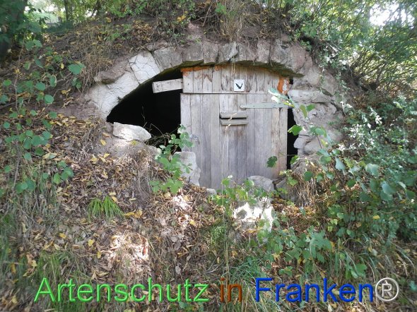 Bild zum Eintrag (77459-160)