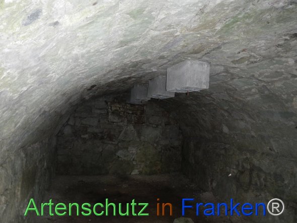 Bild zum Eintrag (77468-160)