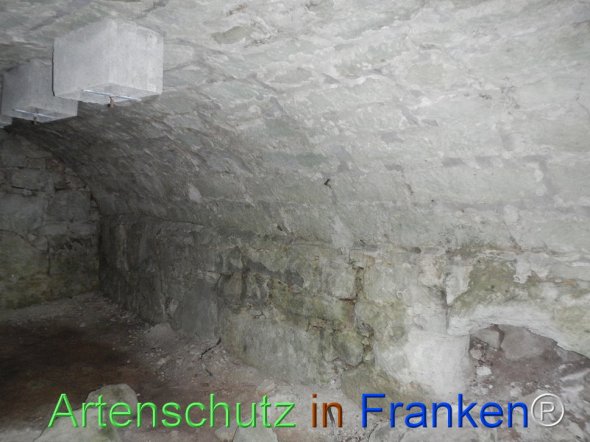 Bild zum Eintrag (77470-160)