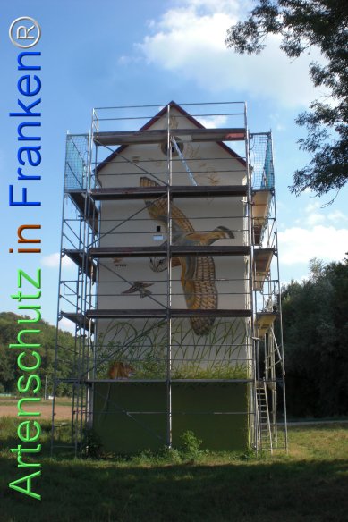 Bild zum Eintrag (77474-160)