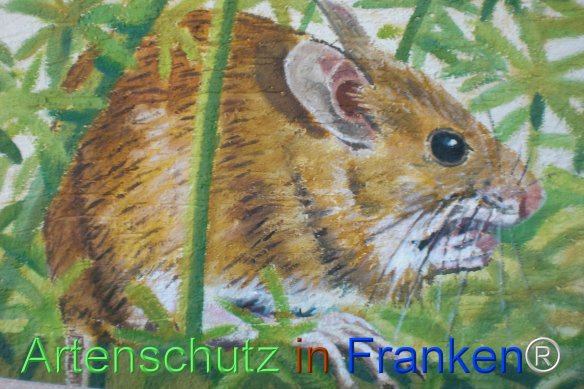 Bild zum Eintrag (77475-160)