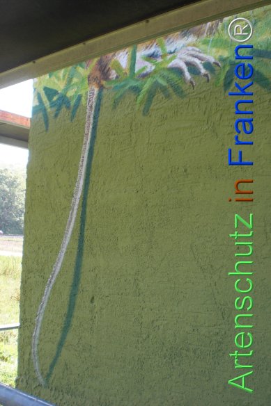 Bild zum Eintrag (77476-160)