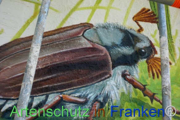 Bild zum Eintrag (77478-160)