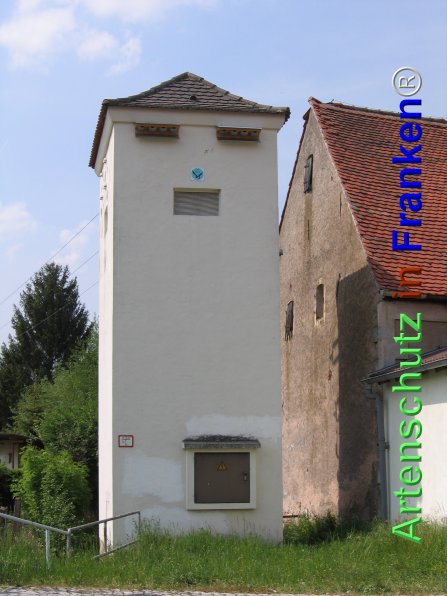 Bild zum Eintrag (77527-160)