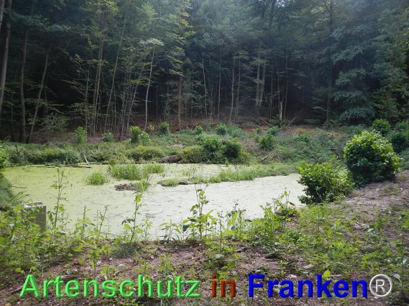 Bild zum Eintrag (77532-160)