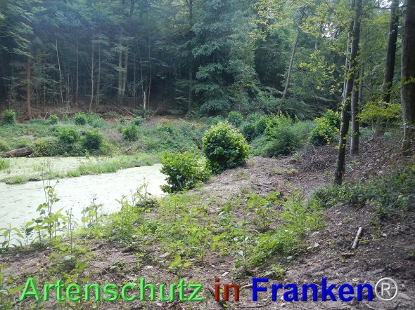 Bild zum Eintrag (77534-160)