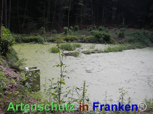 Bild zum Eintrag (77536-160)