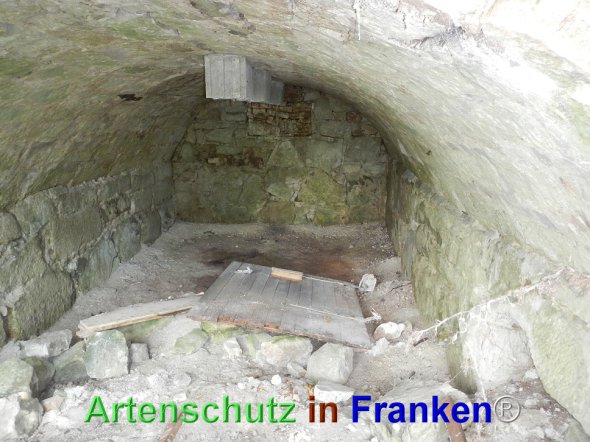 Bild zum Eintrag (77685-160)