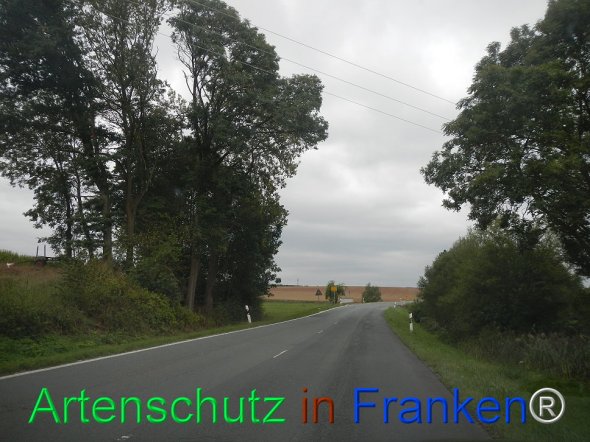 Bild zum Eintrag (77758-160)