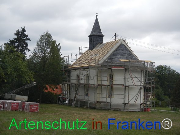 Bild zum Eintrag (77764-160)