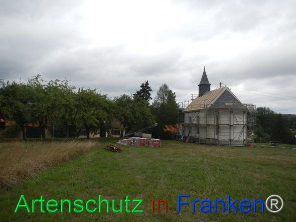 Bild zum Eintrag (77765-160)