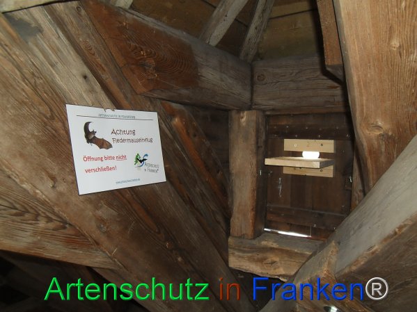 Copyright AiF Schilling Bild zum Eintrag (77794-160)