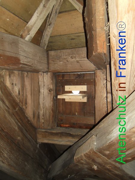Copyright AiF Schilling Bild zum Eintrag (77796-160)