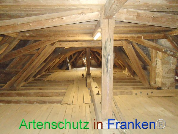 Copyright AiF Schilling Bild zum Eintrag (77797-160)
