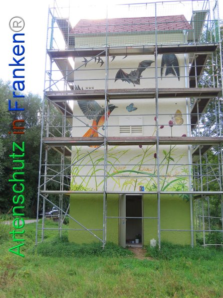 Copyright AiF Heck Bild zum Eintrag (77821-160)
