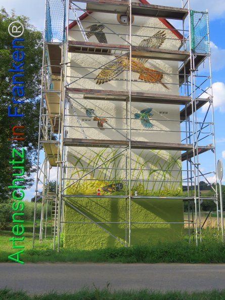 Copyright AiF Heck Bild zum Eintrag (77822-160)