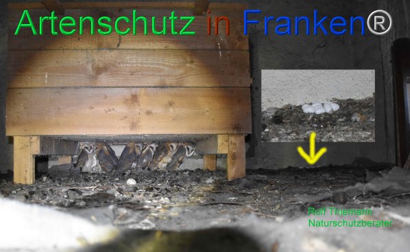 Copyright AiF rolf Bild zum Eintrag (77949-160)