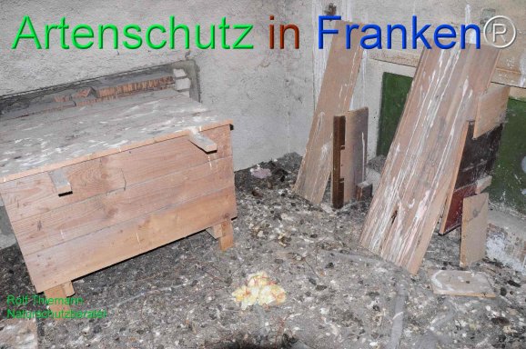 Copyright AiF Rolf Thiemann Bild zum Eintrag (77953-160)