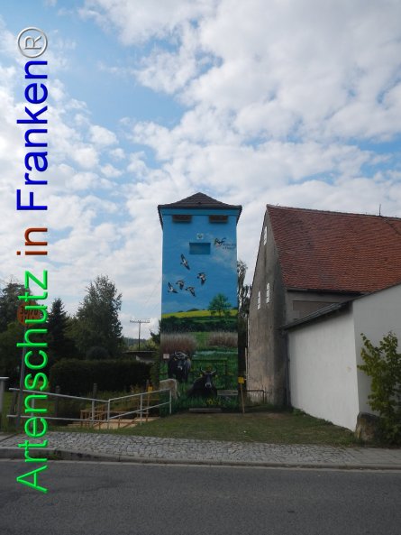 Bild zum Eintrag (77958-160)