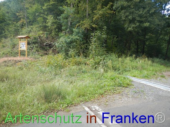 Bild zum Eintrag (78202-160)