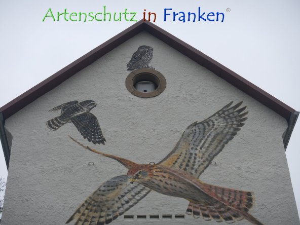 Bild zum Eintrag (78819-160)