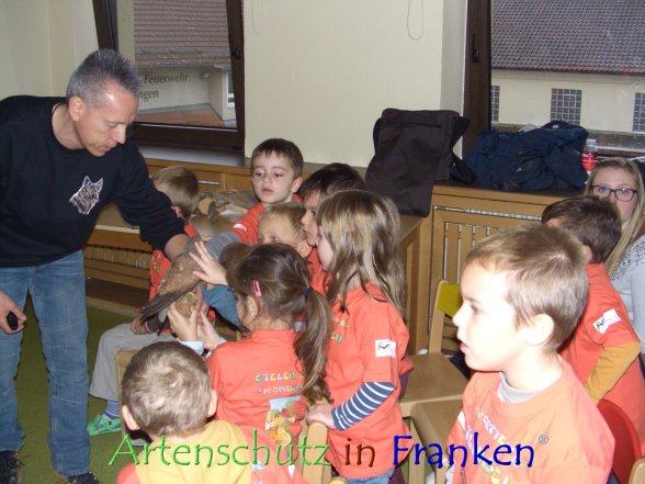 Copyright AiF - Ramona Pohl Bild zum Eintrag (78839-160)