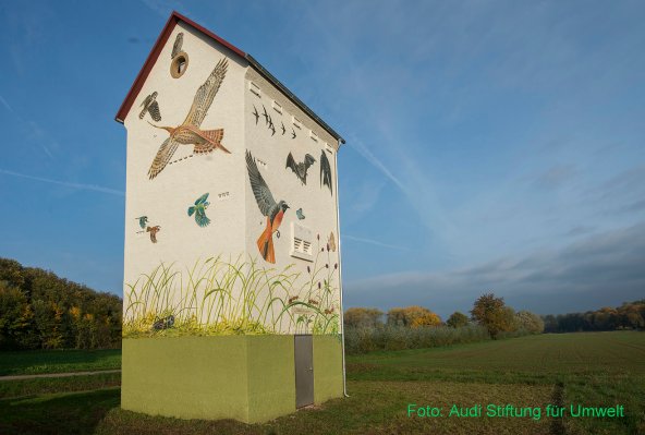 Copyright AiF Audi Stiftung für Umwelt Bild zum Eintrag (79239-160)