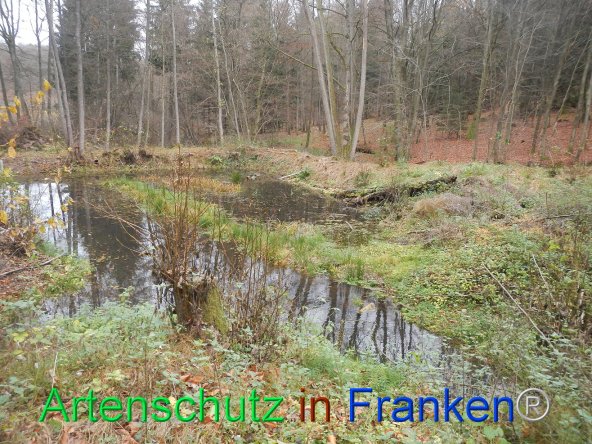 Bild zum Eintrag (79604-160)