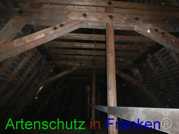 Bild zum Eintrag (79775-160)