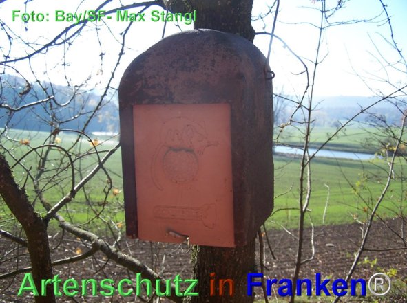 Copyright AiF Maximilian Stangl Bild zum Eintrag (79886-160)