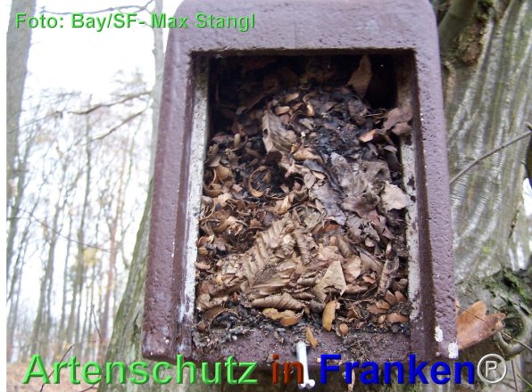 Copyright AiF Maximilian Stangl Bild zum Eintrag (79888-160)