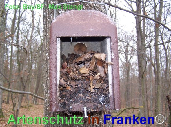 Copyright AiF Maximilian Stangl Bild zum Eintrag (79890-160)