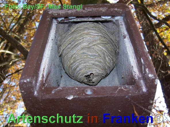 Copyright AiF Maximilian Stangl Bild zum Eintrag (79892-160)
