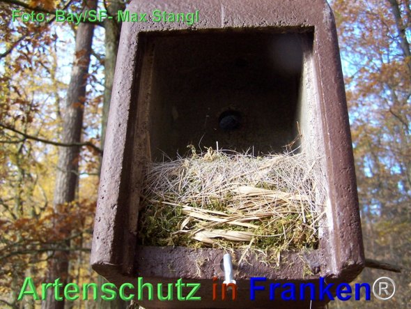 Copyright AiF Maximilian Stangl Bild zum Eintrag (79893-160)