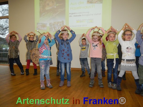 Bild zum Eintrag (79976-160)