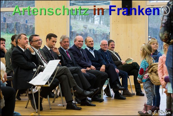 Bild zum Eintrag (80138-160)