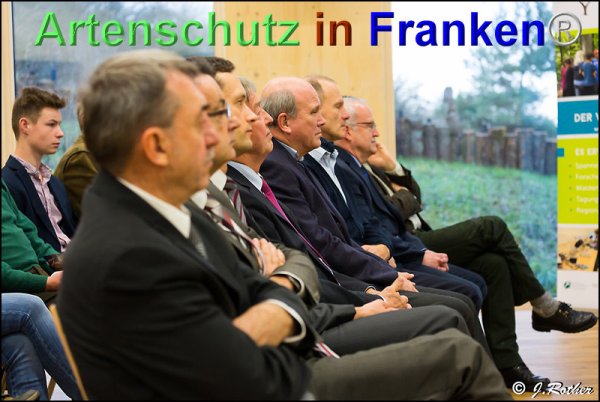 Bild zum Eintrag (80139-160)