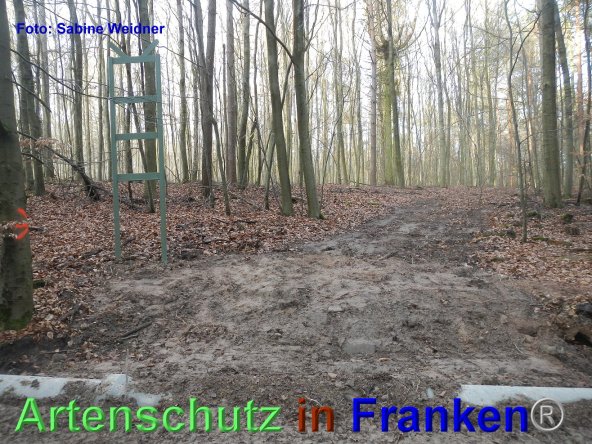 Bild zum Eintrag (80451-160)