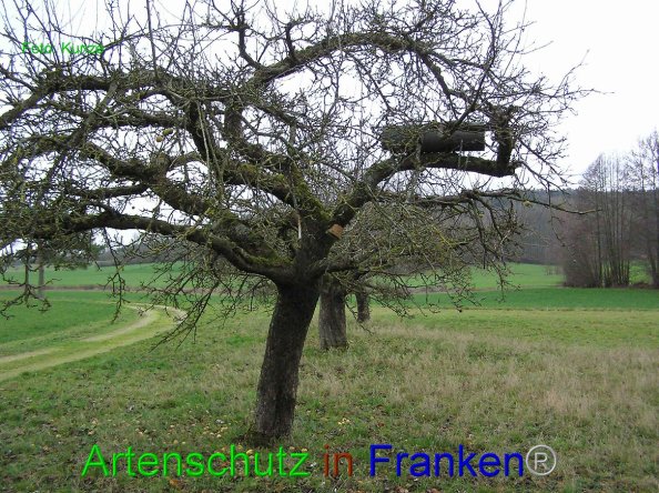 Copyright AiF Kunze Bild zum Eintrag (80570-160)