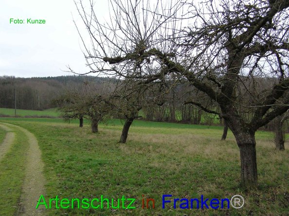 Bild zum Eintrag (80572-160)